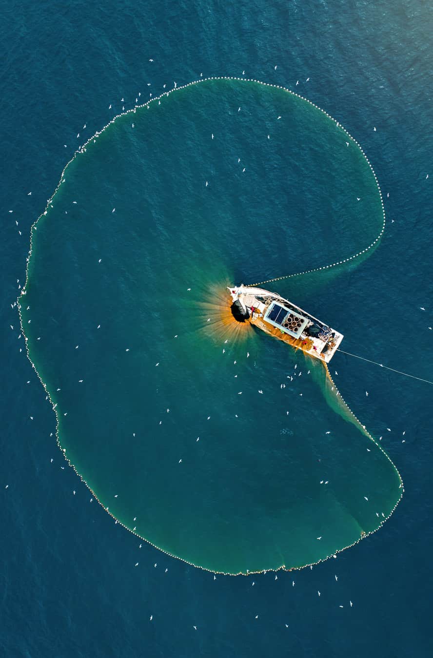 Ropecc Balıkçılık