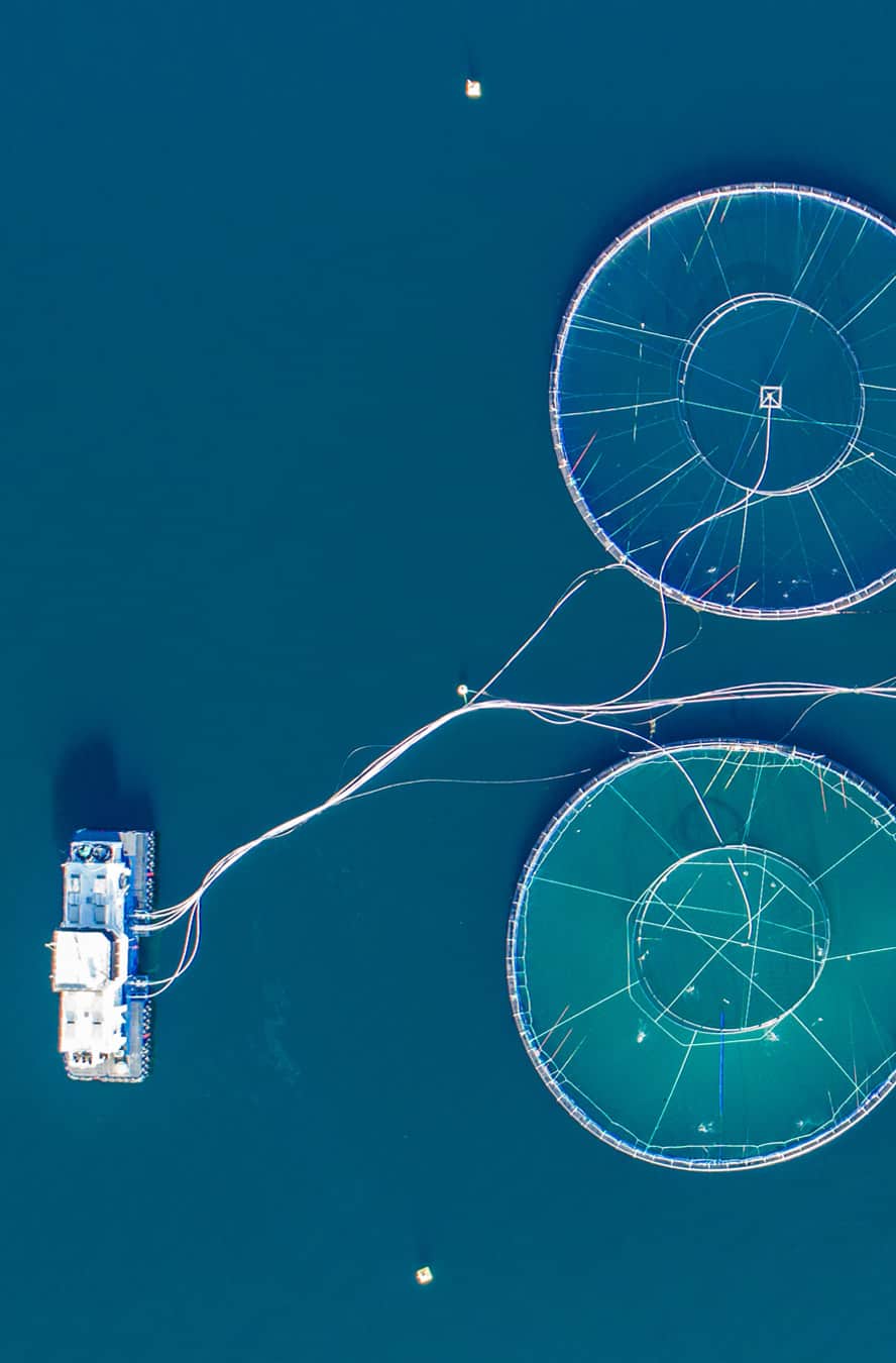 Ropecc Kültür Balıkçılığı